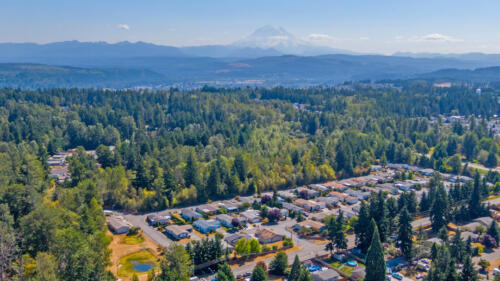 An aerial view of a neighborhood with trees and a mountain in the background.