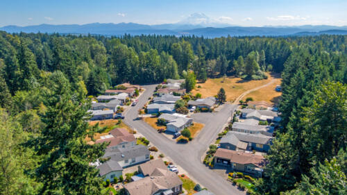 An aerial view of a residential neighborhood with trees and a mountain in the background.